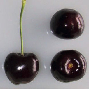 Regina Cherry