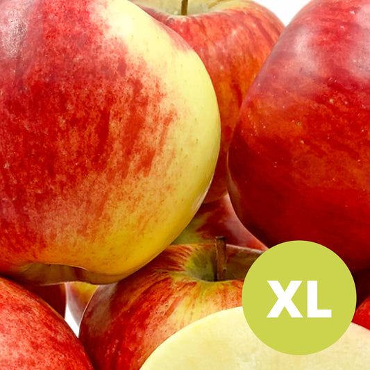 Apportez - Gros pommier