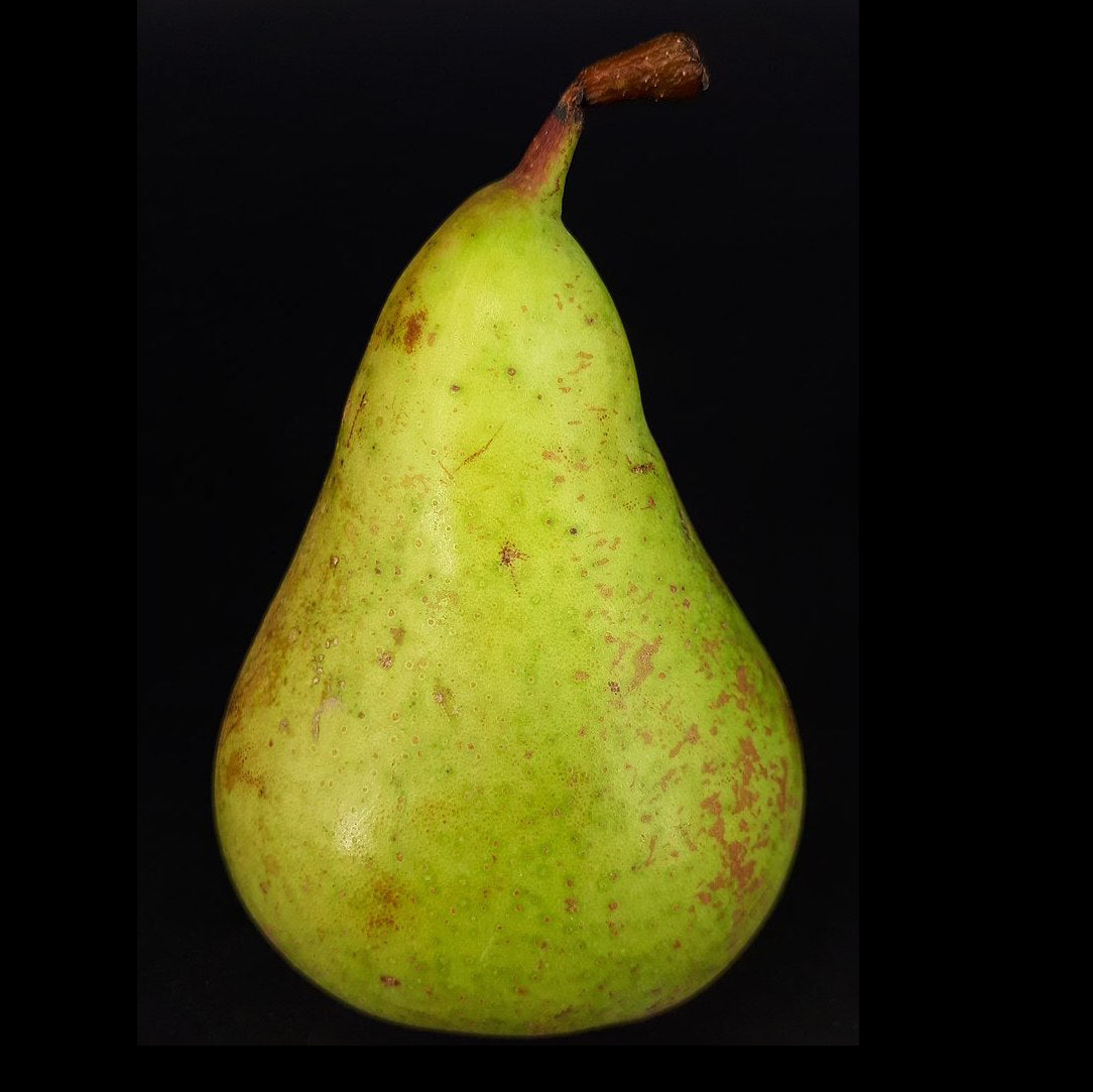Conference Pear
