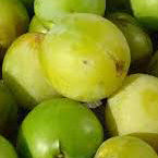 Green Reine Claude (Greengage) (Nr.14) – Stort Plommonträd