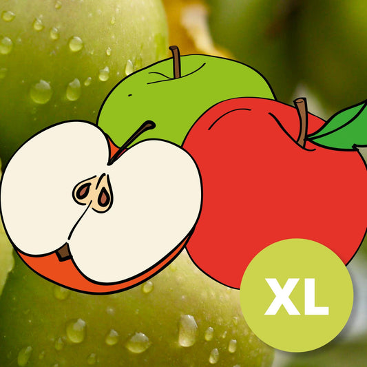 Ordrupgaard Höst – Stort Äppleträd