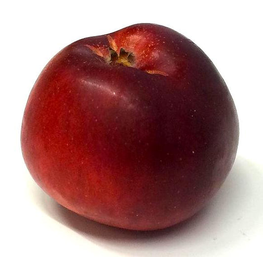 Ölands Kungsäpple Apfel
